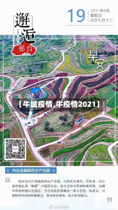 【牛城疫情,牛疫情2021】