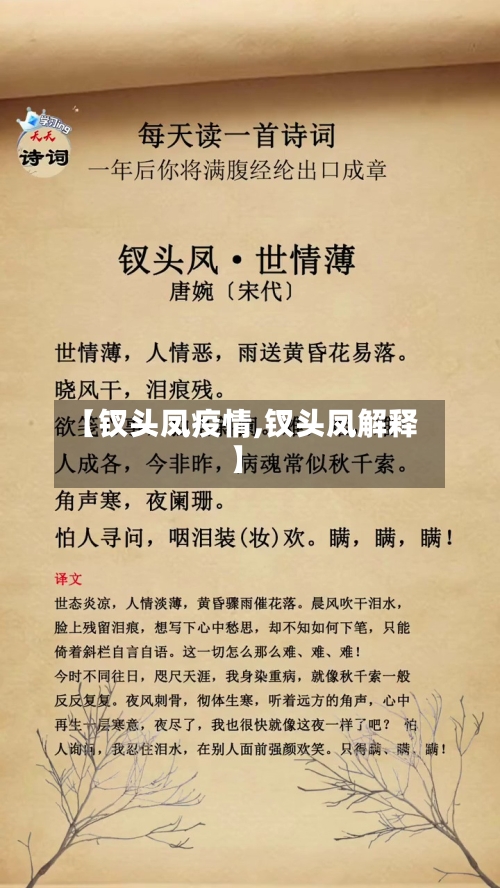 【钗头凤疫情,钗头凤解释】-第3张图片