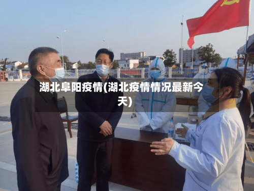 湖北阜阳疫情(湖北疫情情况最新今天)