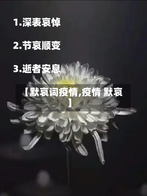 【默哀词疫情,疫情 默哀】-第2张图片