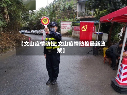 【文山疫情防控,文山疫情防控最新政策】-第2张图片