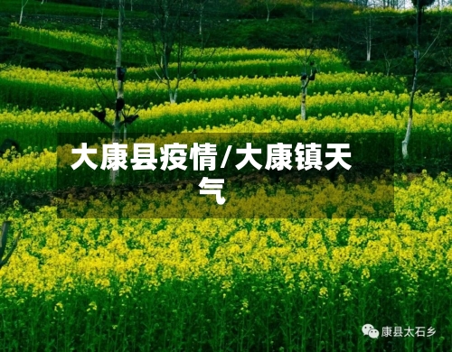 大康县疫情/大康镇天气-第2张图片