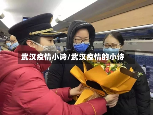 武汉疫情小诗/武汉疫情的小诗-第3张图片