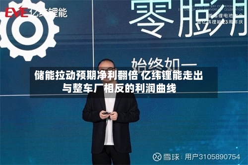 储能拉动预期净利翻倍 亿纬锂能走出与整车厂相反的利润曲线-第2张图片