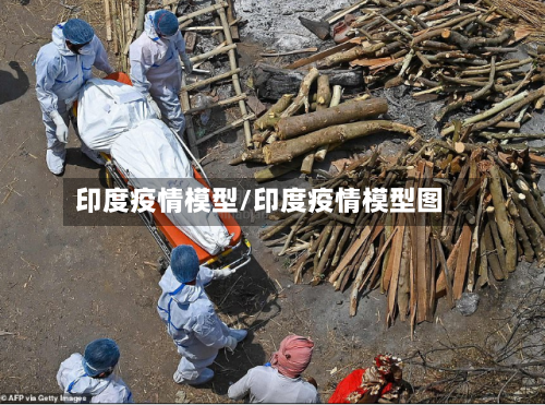 印度疫情模型/印度疫情模型图