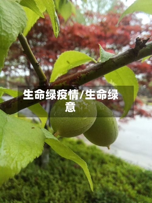 生命绿疫情/生命绿意-第3张图片