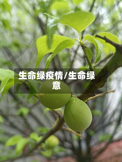 生命绿疫情/生命绿意