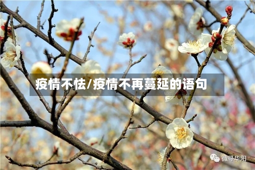 疫情不怯/疫情不再蔓延的语句-第2张图片