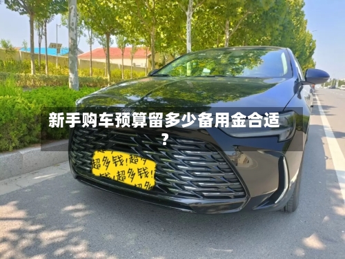 新手购车预算留多少备用金合适？