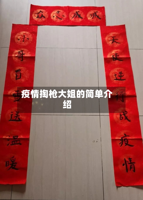 疫情掏枪大姐的简单介绍