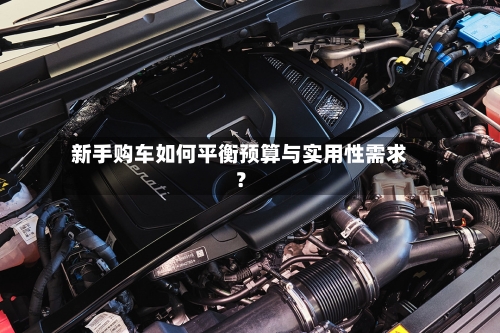 新手购车如何平衡预算与实用性需求?-第2张图片