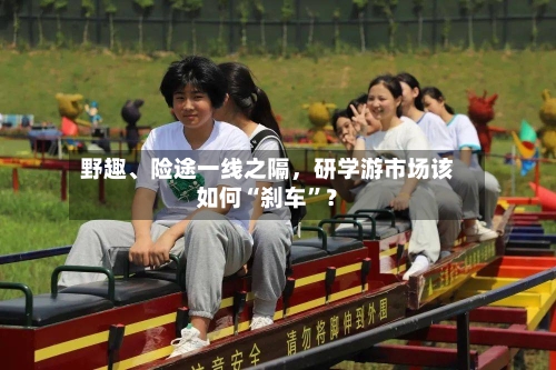 野趣、险途一线之隔，研学游市场该如何“刹车”？-第2张图片