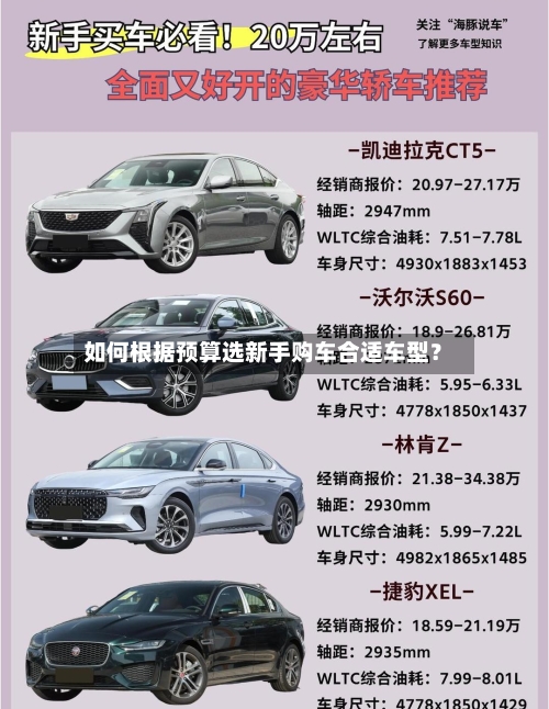 如何根据预算选新手购车合适车型？