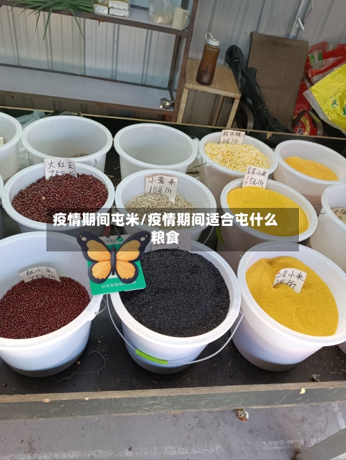 疫情期间屯米/疫情期间适合屯什么粮食-第1张图片