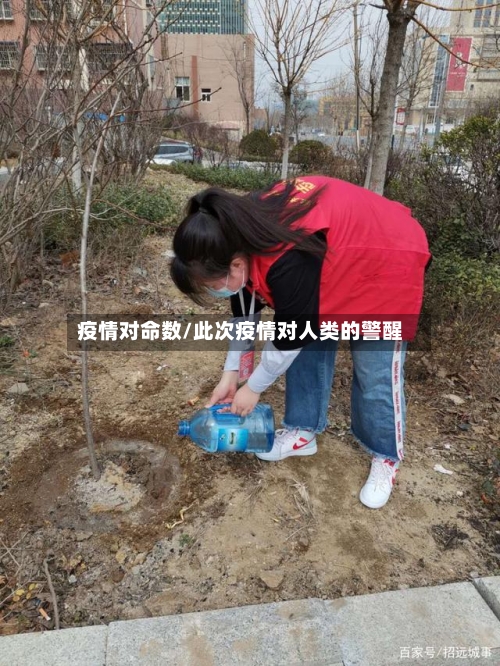 疫情对命数/此次疫情对人类的警醒-第3张图片