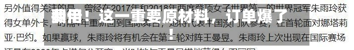 费用翻倍！这一重要原材料，订单爆了！-第3张图片