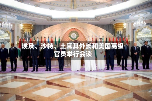 埃及、沙特、土耳其外长和美国高级官员举行会谈