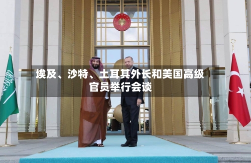 埃及、沙特、土耳其外长和美国高级官员举行会谈-第3张图片