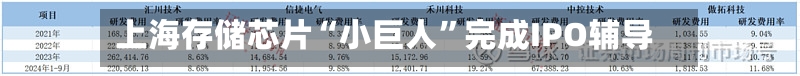 上海存储芯片“小巨人”完成IPO辅导-第2张图片