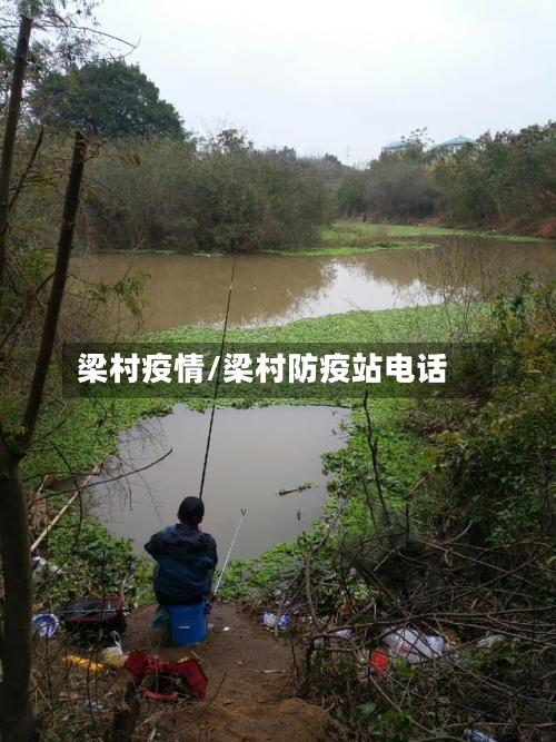 梁村疫情/梁村防疫站电话