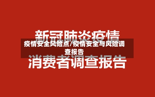 疫情安全风险点/疫情安全与风险调查报告