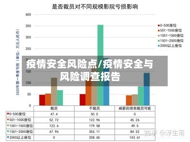 疫情安全风险点/疫情安全与风险调查报告-第2张图片