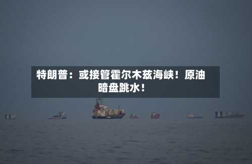特朗普：或接管霍尔木兹海峡！原油暗盘跳水！