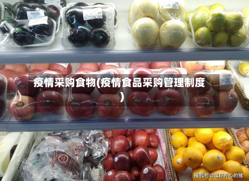 疫情采购食物(疫情食品采购管理制度)-第2张图片