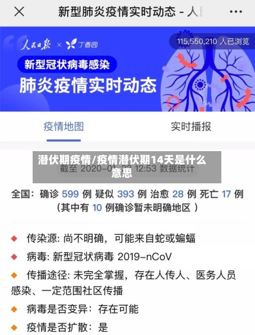 潜伏期疫情/疫情潜伏期14天是什么意思