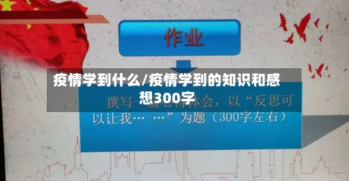 疫情学到什么/疫情学到的知识和感想300字