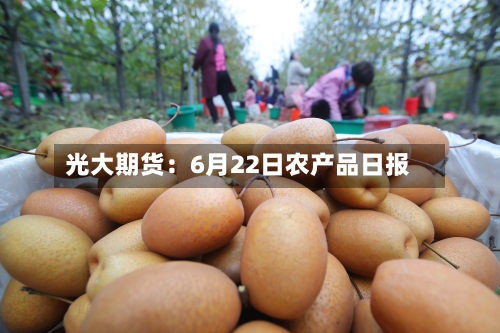光大期货：6月22日农产品日报-第3张图片