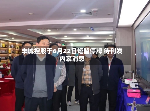 丰城控股于6月22日短暂停牌 待刊发内幕消息