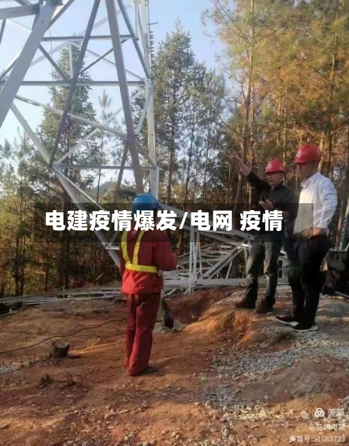 电建疫情爆发/电网 疫情-第2张图片