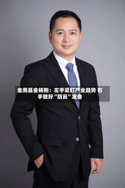 金鹰基金杨刚：左手紧盯产业趋势 右手做好“防反”准备-第3张图片