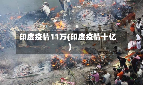 印度疫情11万(印度疫情十亿)-第2张图片