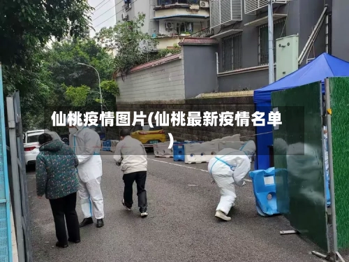 仙桃疫情图片(仙桃最新疫情名单)-第2张图片