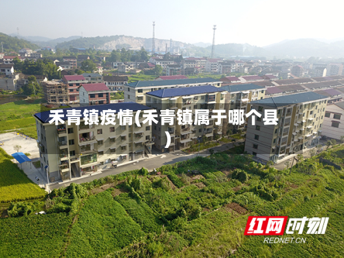 禾青镇疫情(禾青镇属于哪个县)
