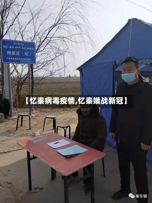【忆秦病毒疫情,忆秦娥战新冠】-第3张图片