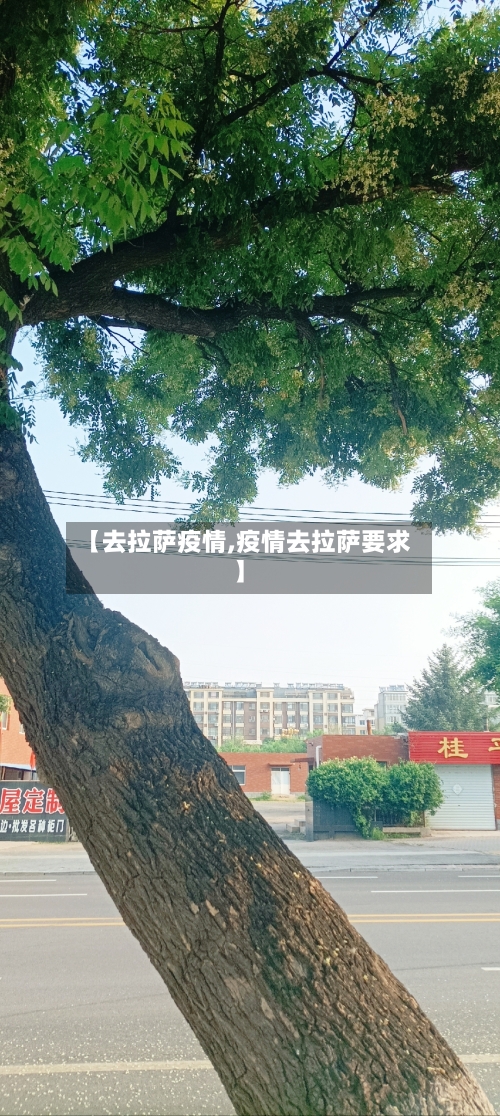 【去拉萨疫情,疫情去拉萨要求】-第2张图片
