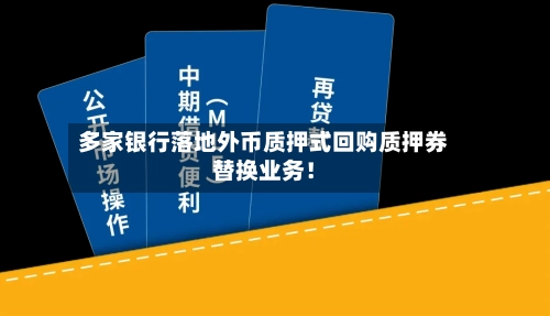 多家银行落地外币质押式回购质押券替换业务!-第3张图片