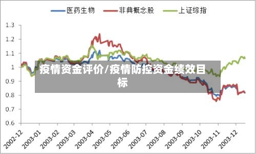 疫情资金评价/疫情防控资金绩效目标-第3张图片