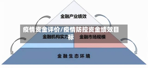 疫情资金评价/疫情防控资金绩效目标