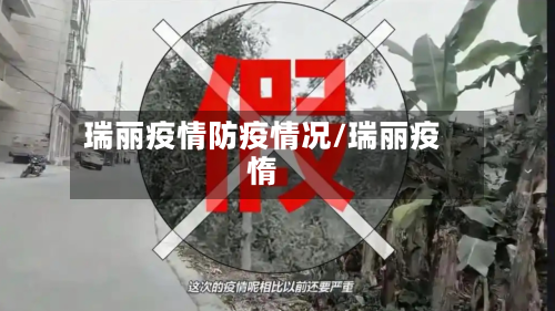 瑞丽疫情防疫情况/瑞丽疫惰-第3张图片