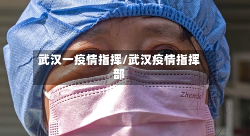 武汉一疫情指挥/武汉疫情指挥部