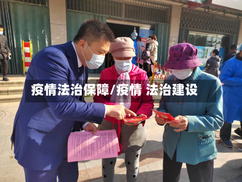 疫情法治保障/疫情 法治建设