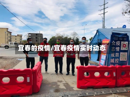 宜春的疫情/宜春疫情实时动态-第2张图片