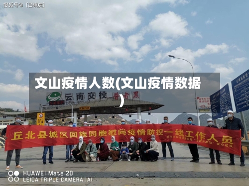 文山疫情人数(文山疫情数据)