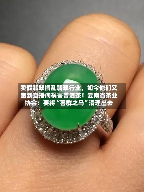 卖假翡翠搞乱翡翠行业，如今他们又跑到直播间祸害普洱茶！云南省茶业协会：要将“害群之马”清理出去-第3张图片