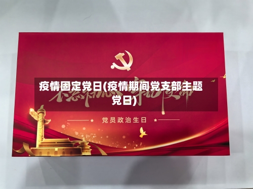 疫情固定党日(疫情期间党支部主题党日)-第3张图片