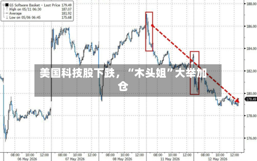 美国科技股下跌，“木头姐”大举加仓-第2张图片